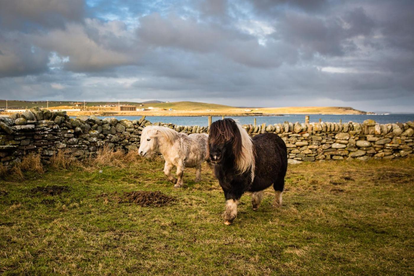 Carradale Guest House Lerwick Buitenkant foto